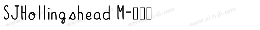 SJHollingshead M字体转换
